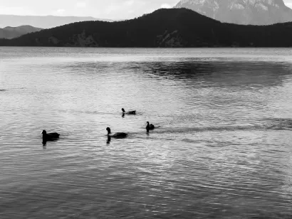 スロトキャッシュ カジノ モバイルアプリ